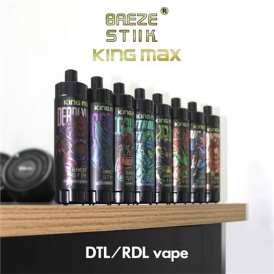 Breze Stiik King Max 10000