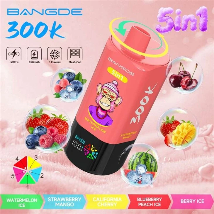 BANG DE 300K manufacturers BANG DE 300K manufacturers