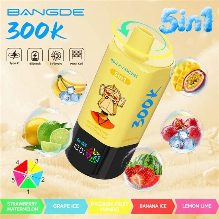BANG DE 300K manufacturers BANG DE 300K manufacturers