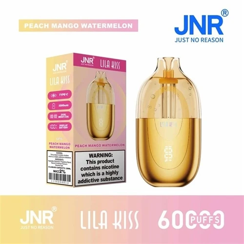JNR Lira Kiss 60K: Технологічні та споживчі зміни в індустрії електронних-сиг...