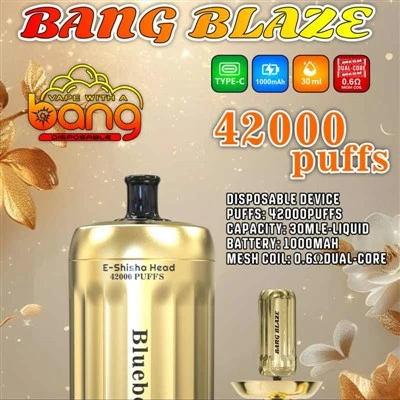 BANG BLAZE E-Shisha Head 42K Puffs