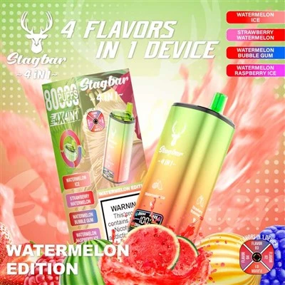 Stag bar 4 в 1 80000 puffs