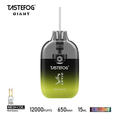 TASTEFOG GIANT 12000