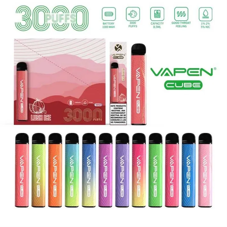 VAPEN CUBE 3000