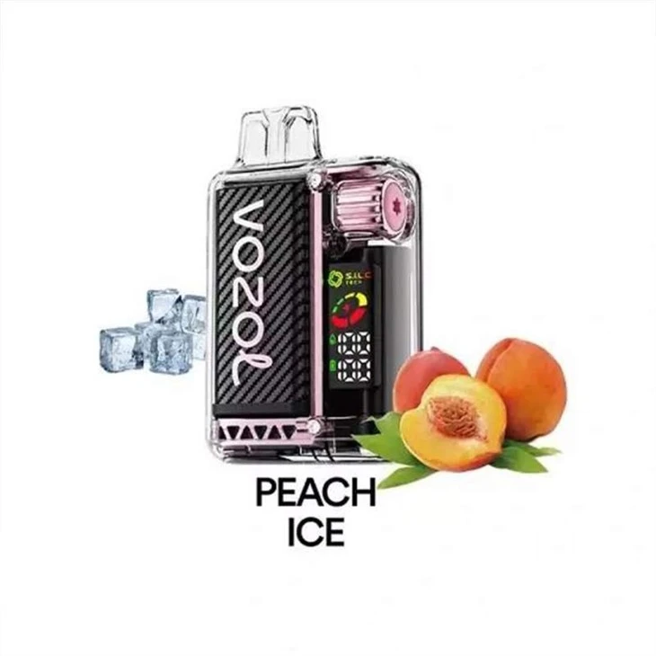VOZOL VISTA20000 13